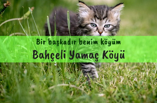 Bahçeli Yamaç Köyü